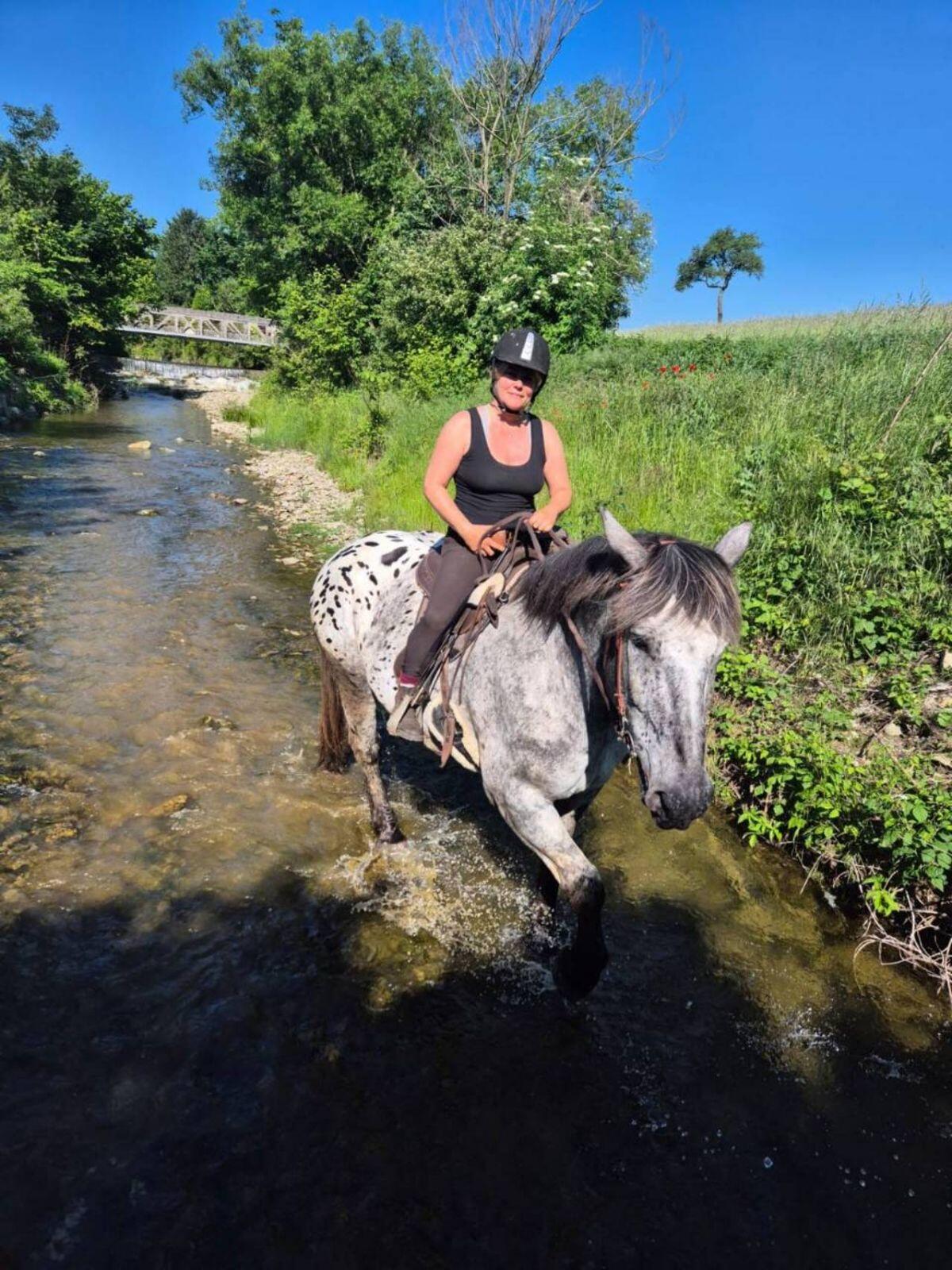 Lord und Jolly suchen Mitreiter 3