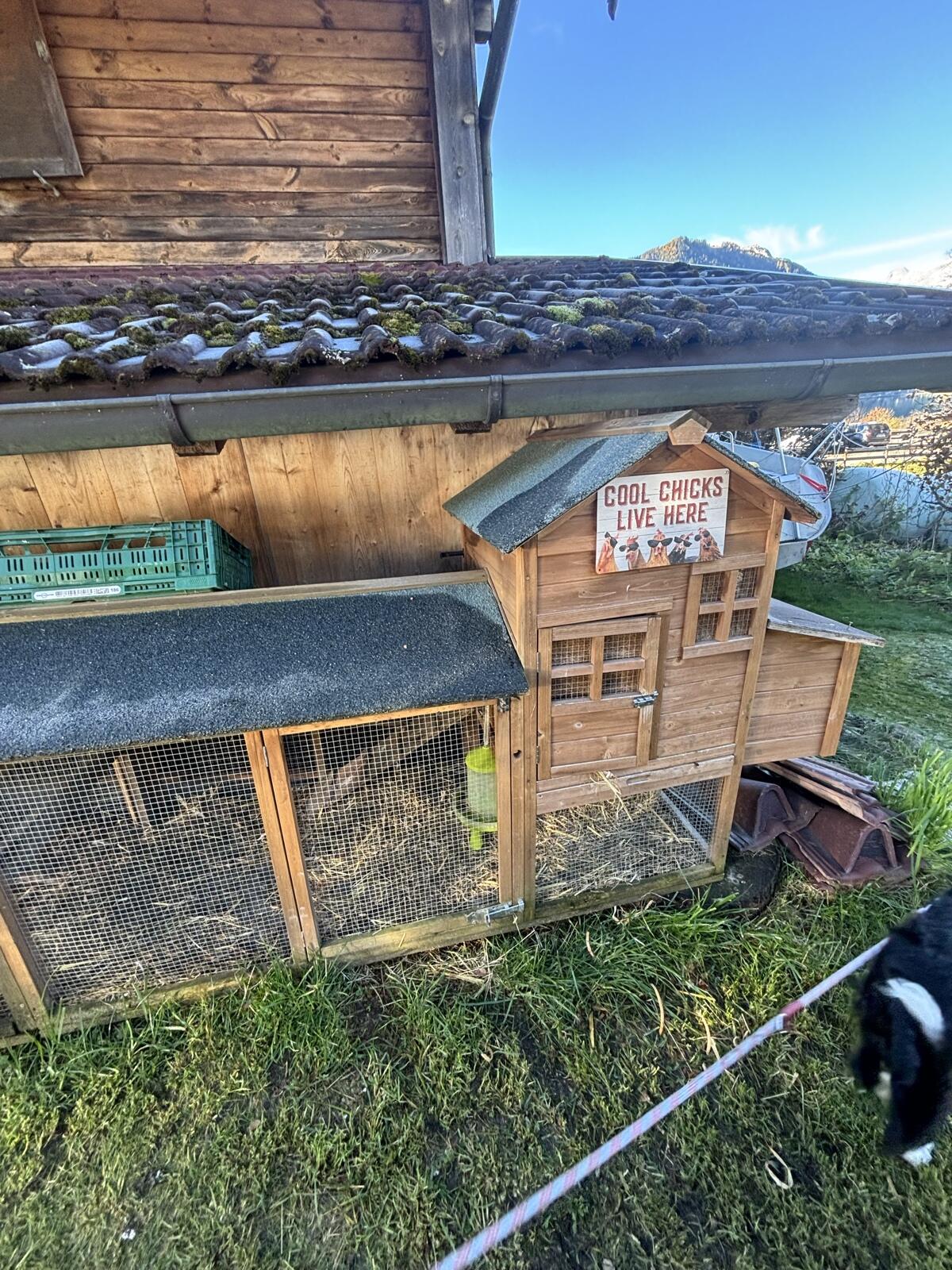 Hühner- oder Hasenstall 1