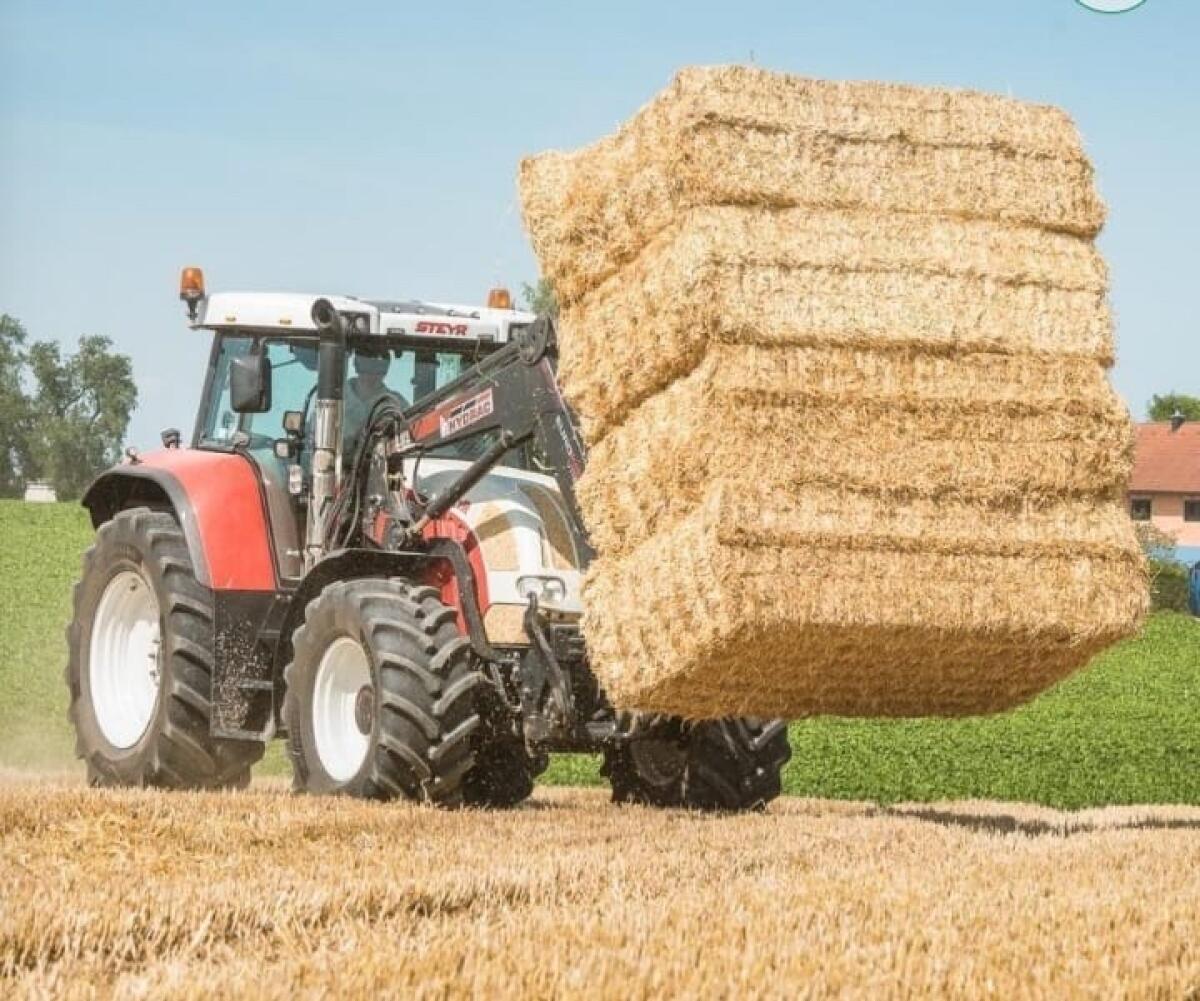 Quaderballen Stroh 2