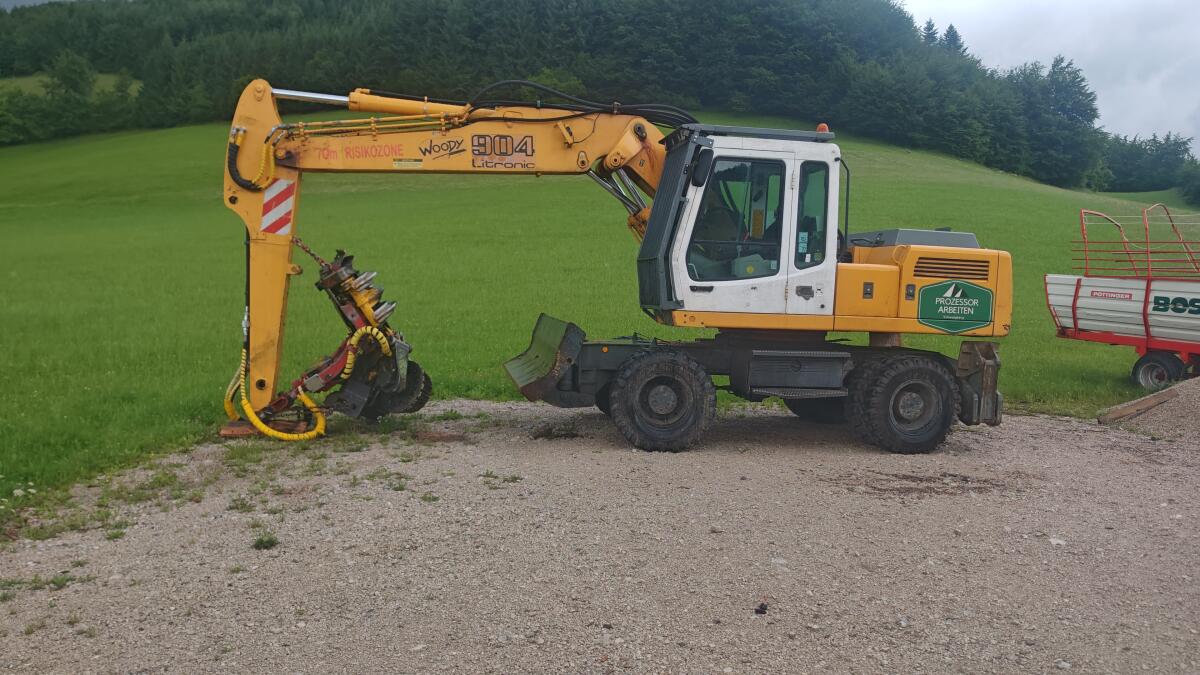 Prozessor Bagger mit Woody 60 2