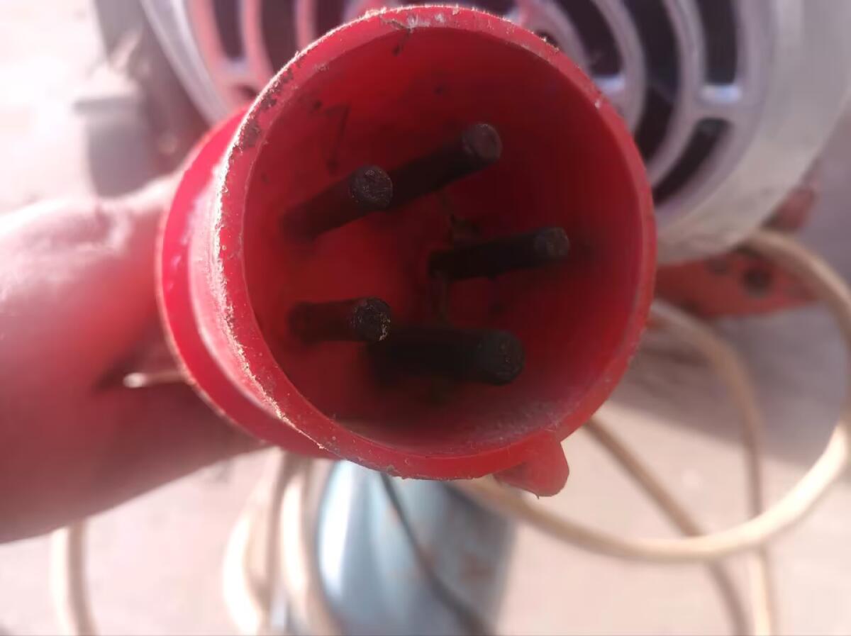 Getreideschnecke Sammelschnecke 2