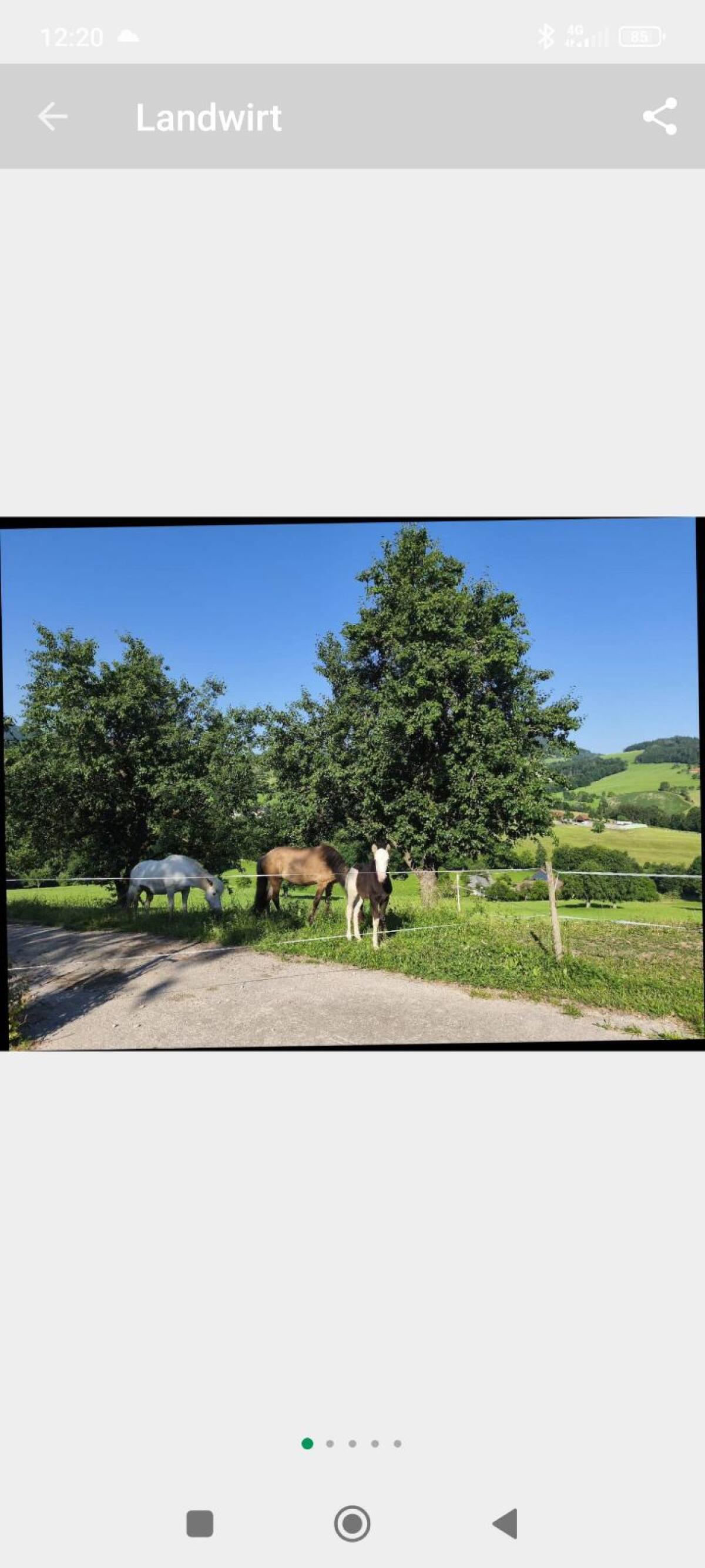 Einstellplätze frei 3