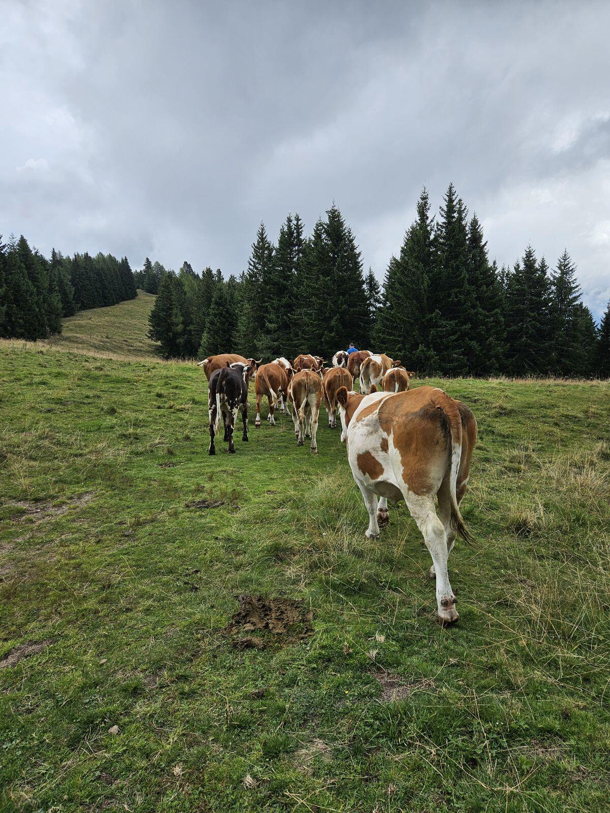 Praktikant/in gesucht für 2026 2