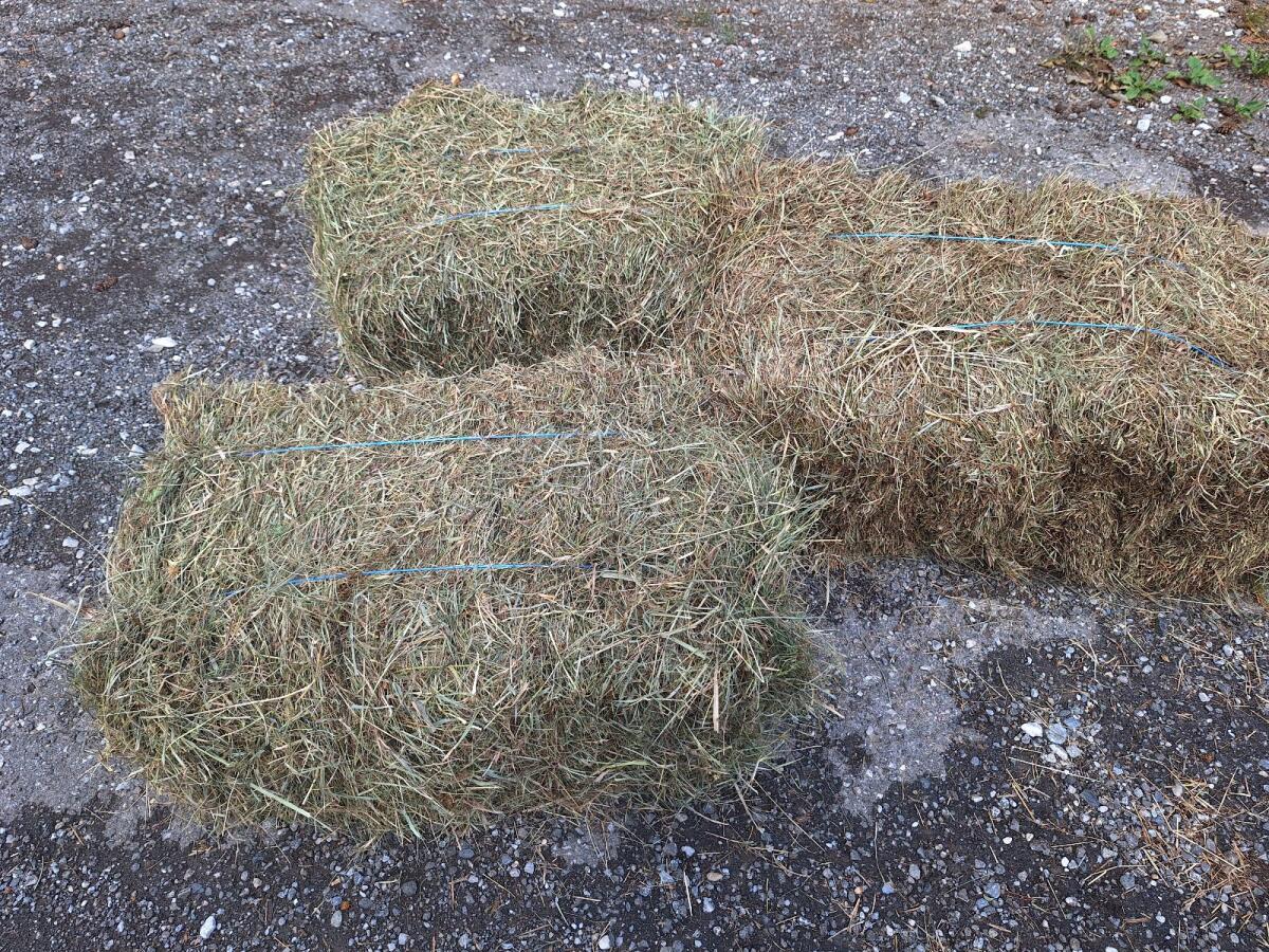 Heuquaderballen klein 1