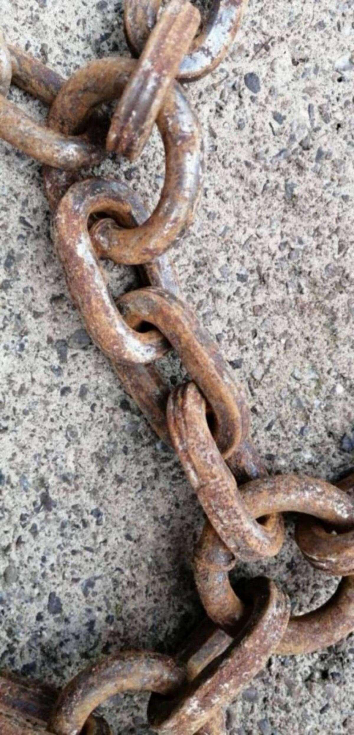 Traktor Schneeketten 3