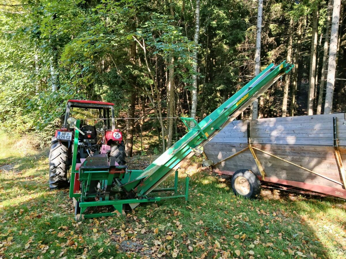 Kreissäge mit Förderband 2