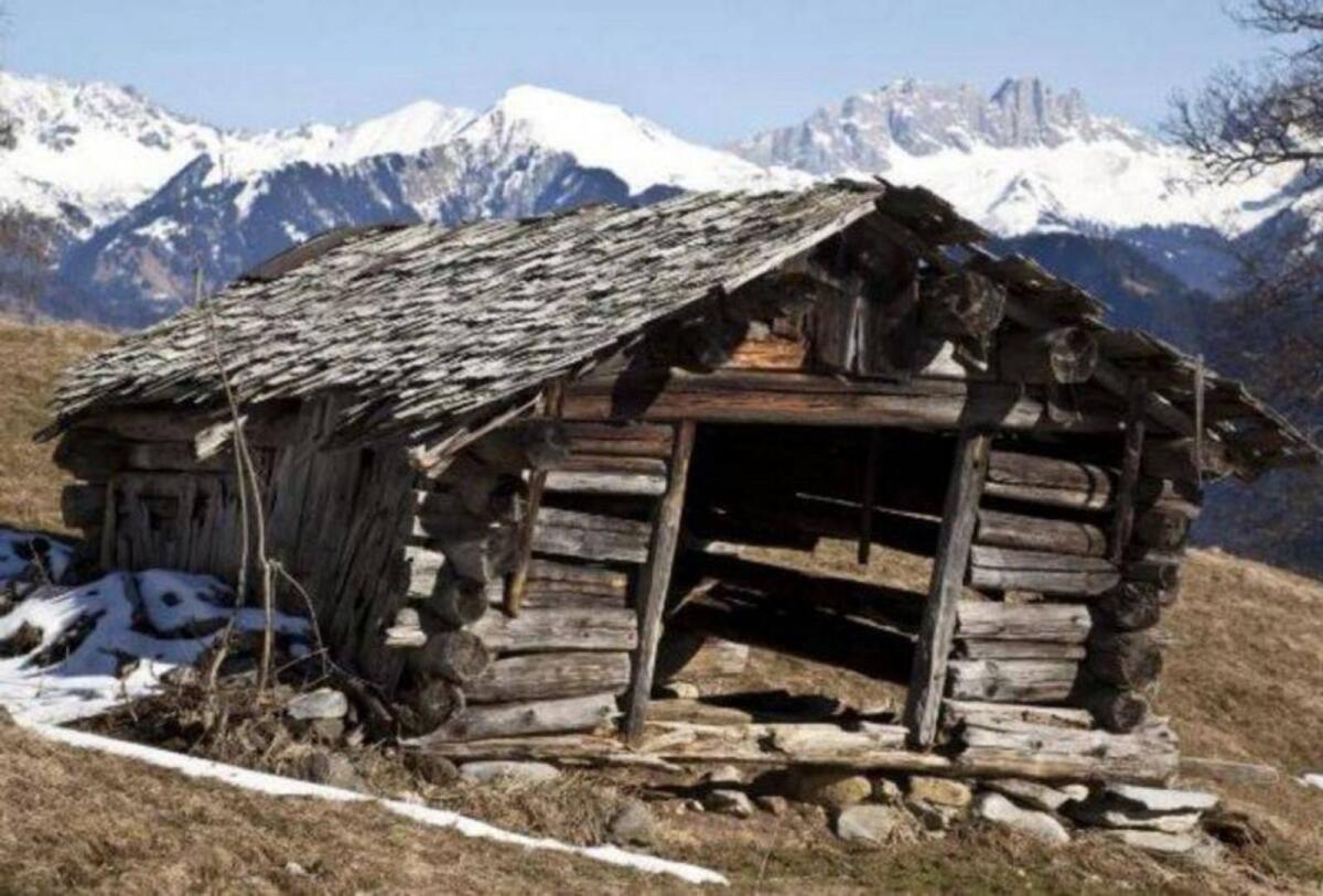 Suche Alm, Berghütte, Jagdhütte, Forsthütte 1