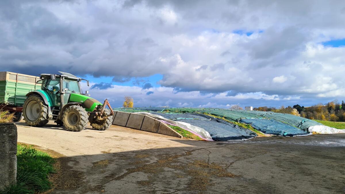 Landwirtschaftliche/r Mitarbeiter/in Milchwirtschaft gesucht 2