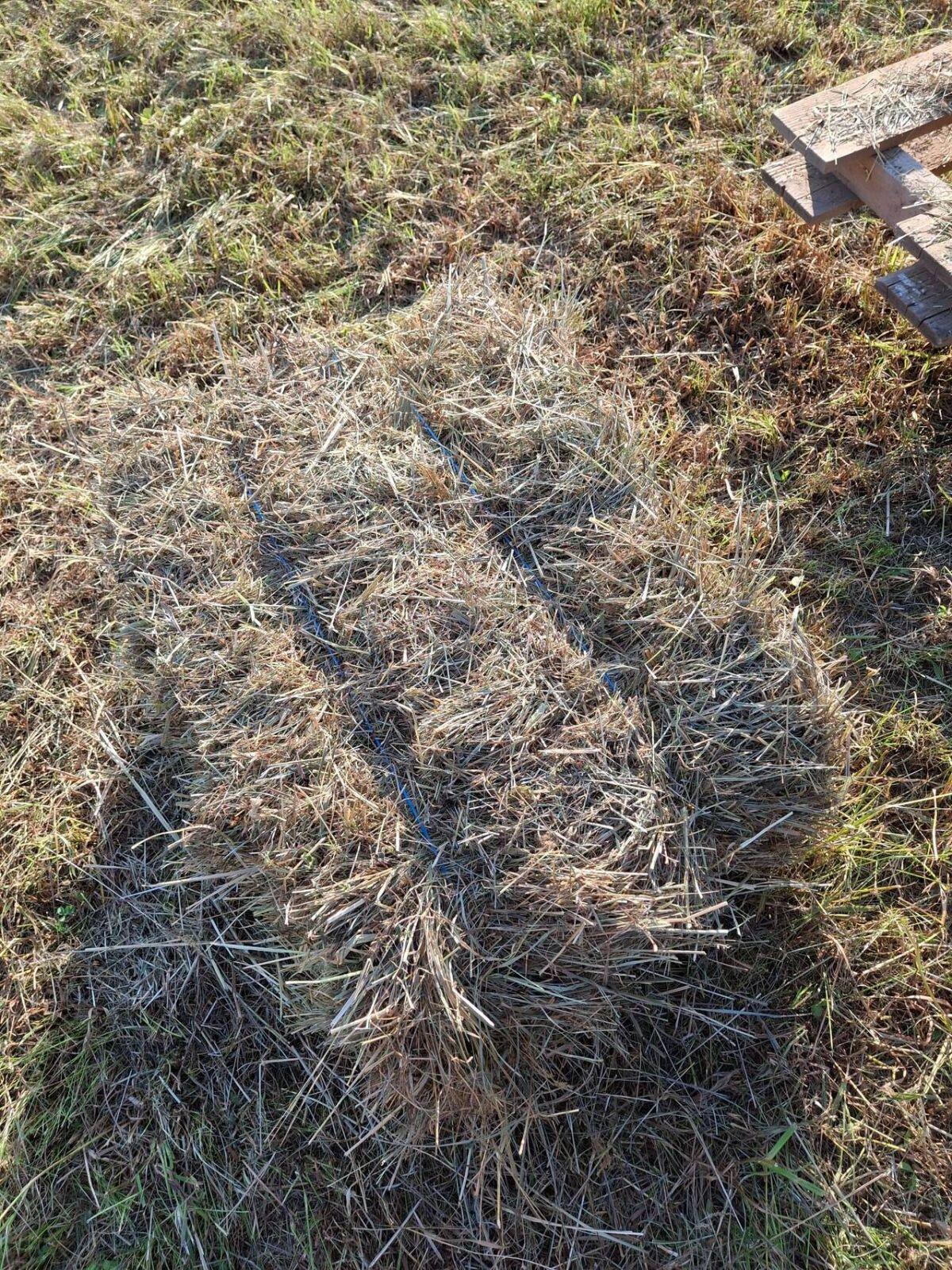 Kleinballen Hochdruckballen 1