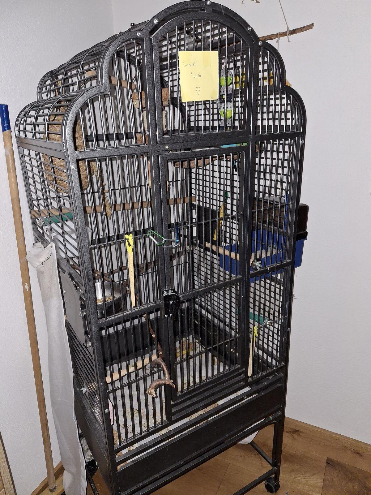 Wellensittiche inkl. Käfig 2