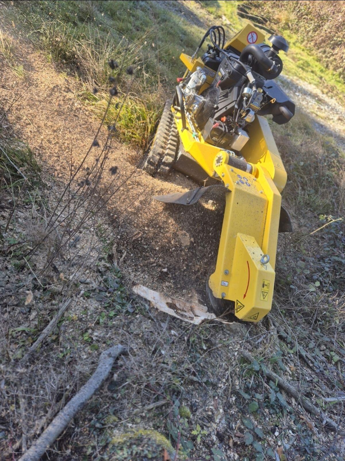 Wurzelstockfräsen, Baumstumpffräsen 2