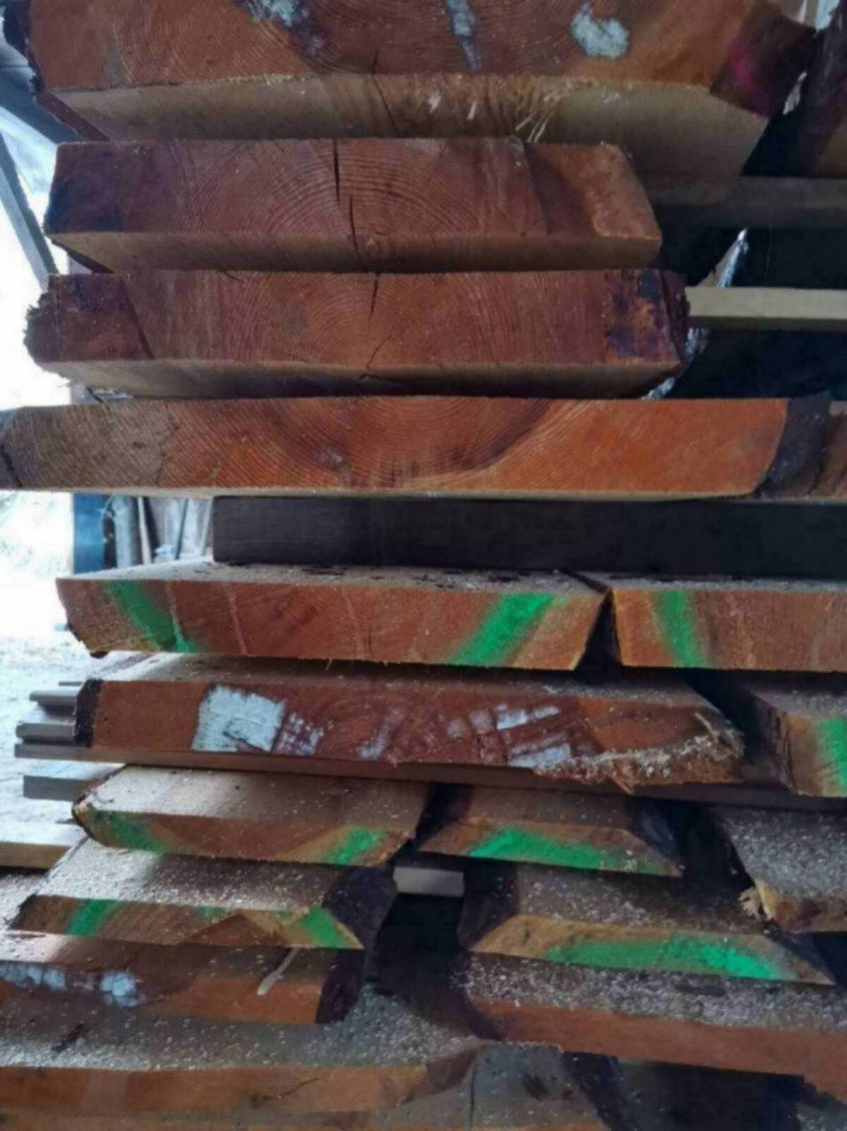 Waldviertler Fehra (Kiefer) 2