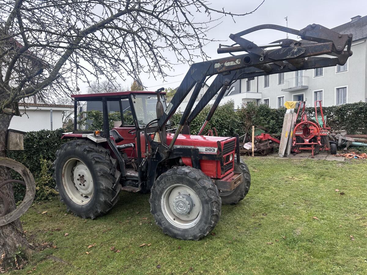 Massey Ferguson 293 Allrad 1