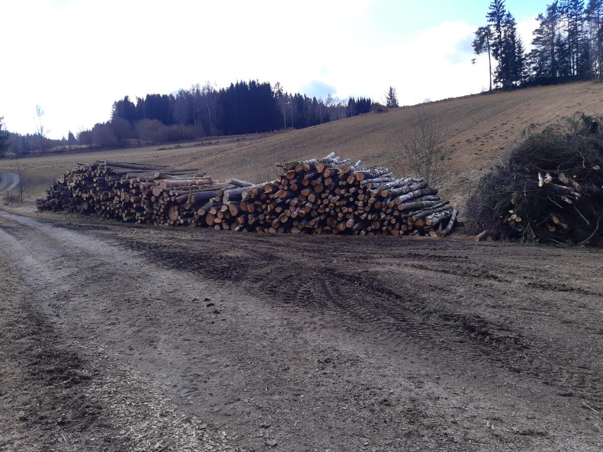 Brennholz Rundholz 3