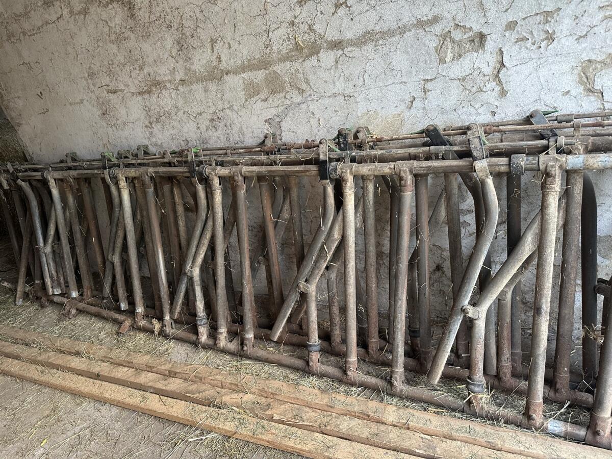 Fressgitter für Rinder 2