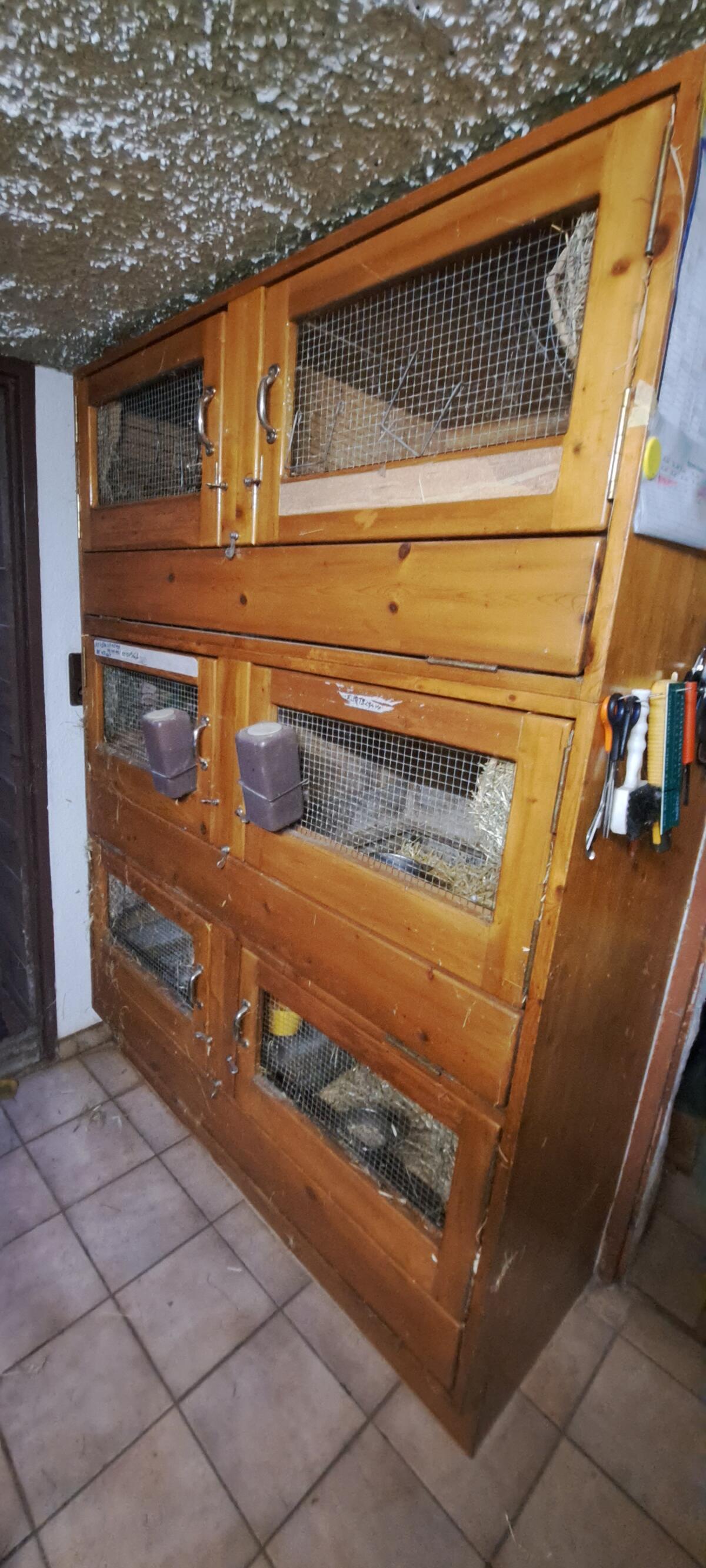 Hasenställe in verschiedenen Größen 3