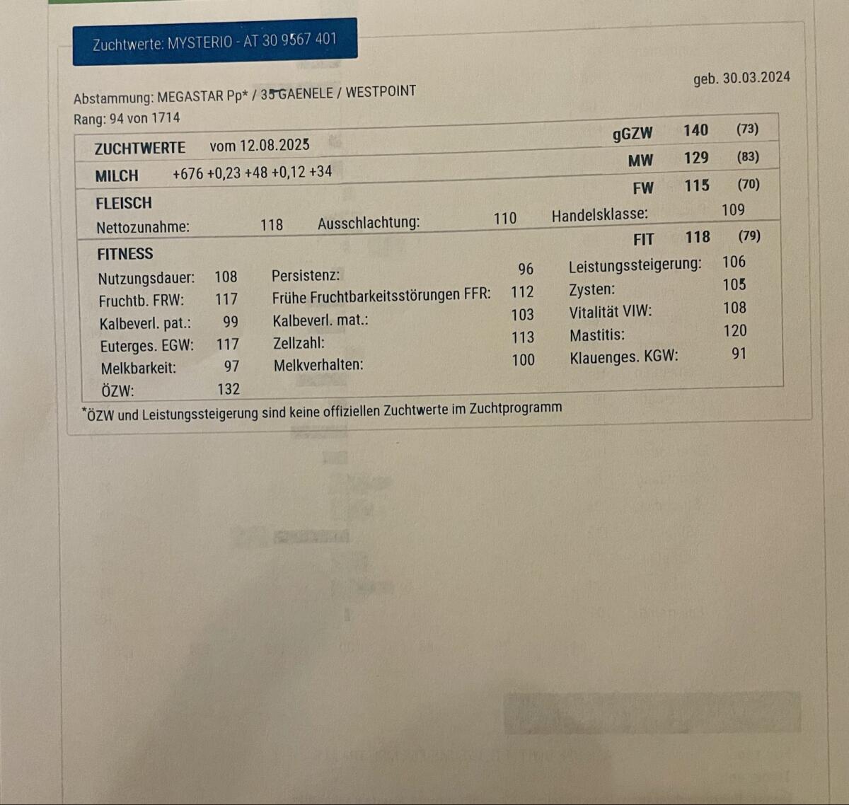 Deckstier 19 Monate 3