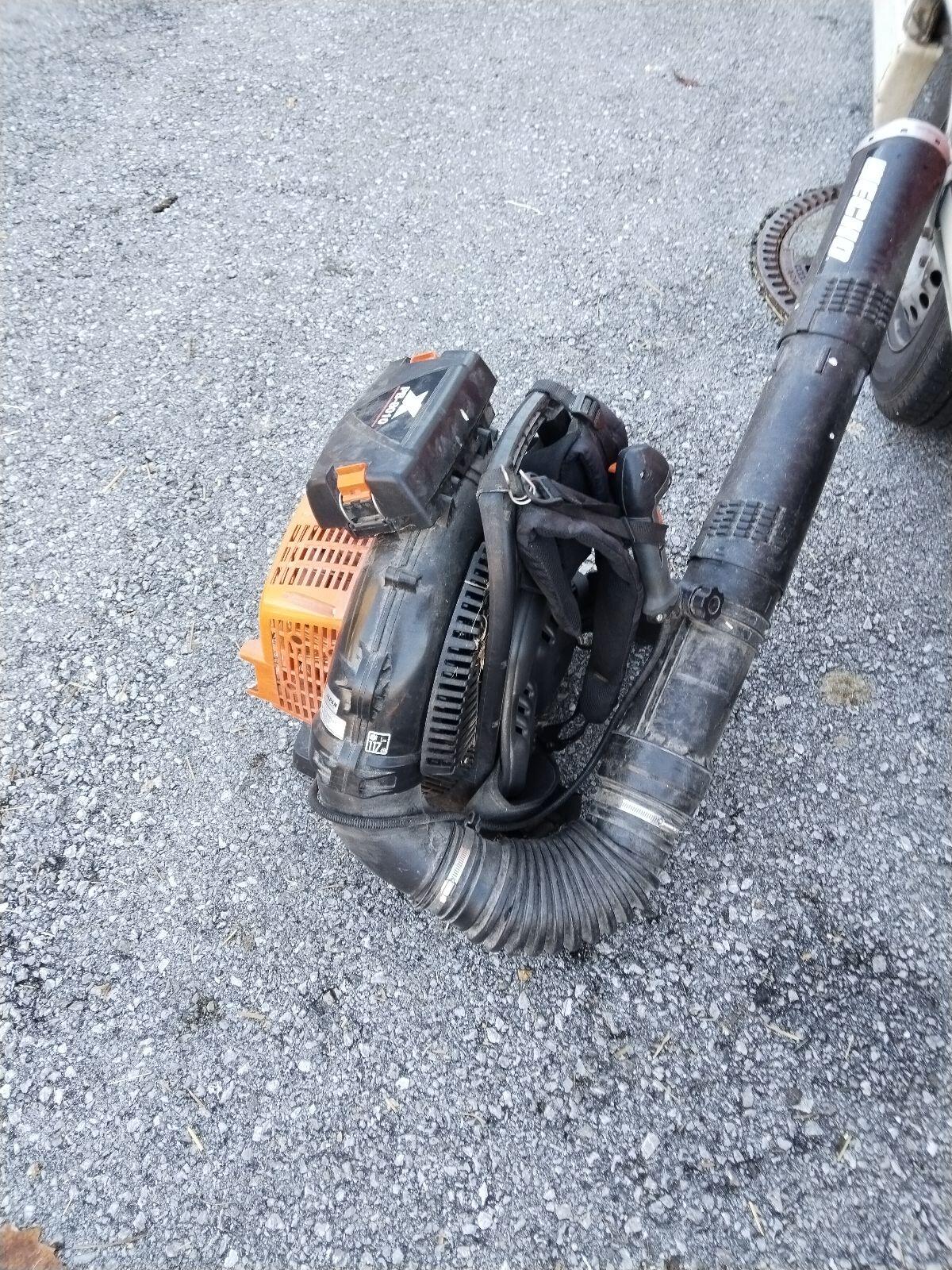 Echo PB 8010 das Biest 5,7 PS 3