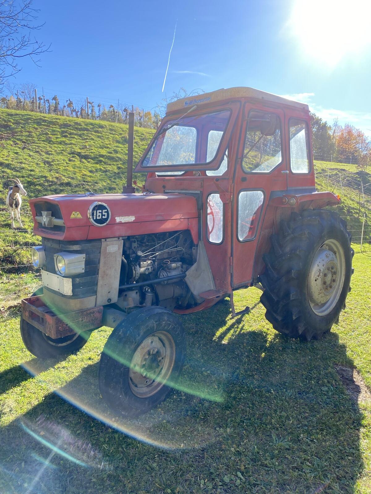 Massey Ferguson 165 2