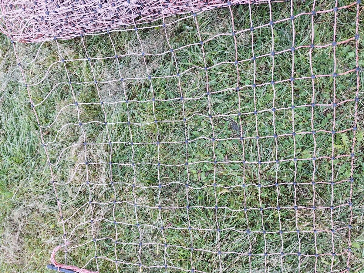 Schafzaun, Hühnerzaun 3