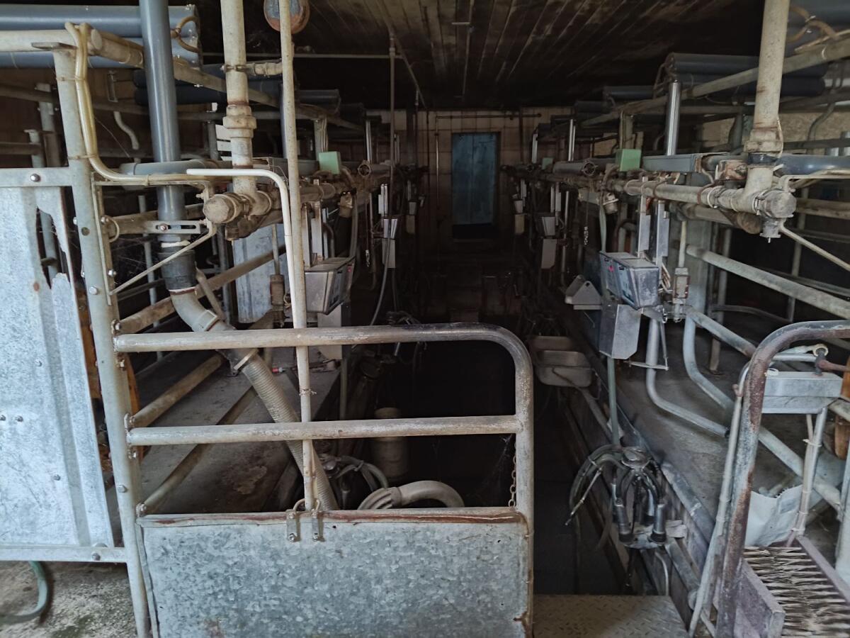 Milchbetrieb Auflösung 3