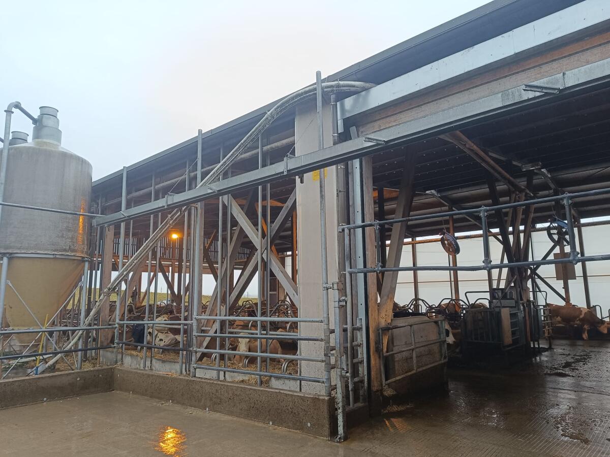 2 Kraftfutterschnecke zu verkaufen 3