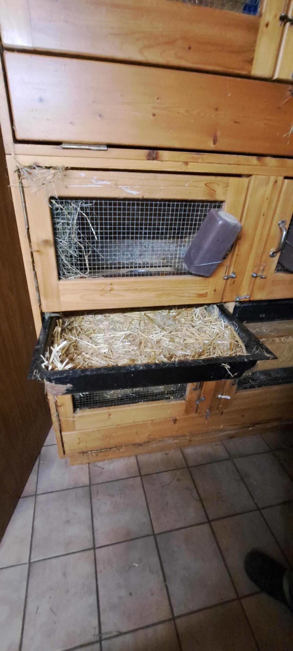 Hasenställe in verschiedenen Größen 1