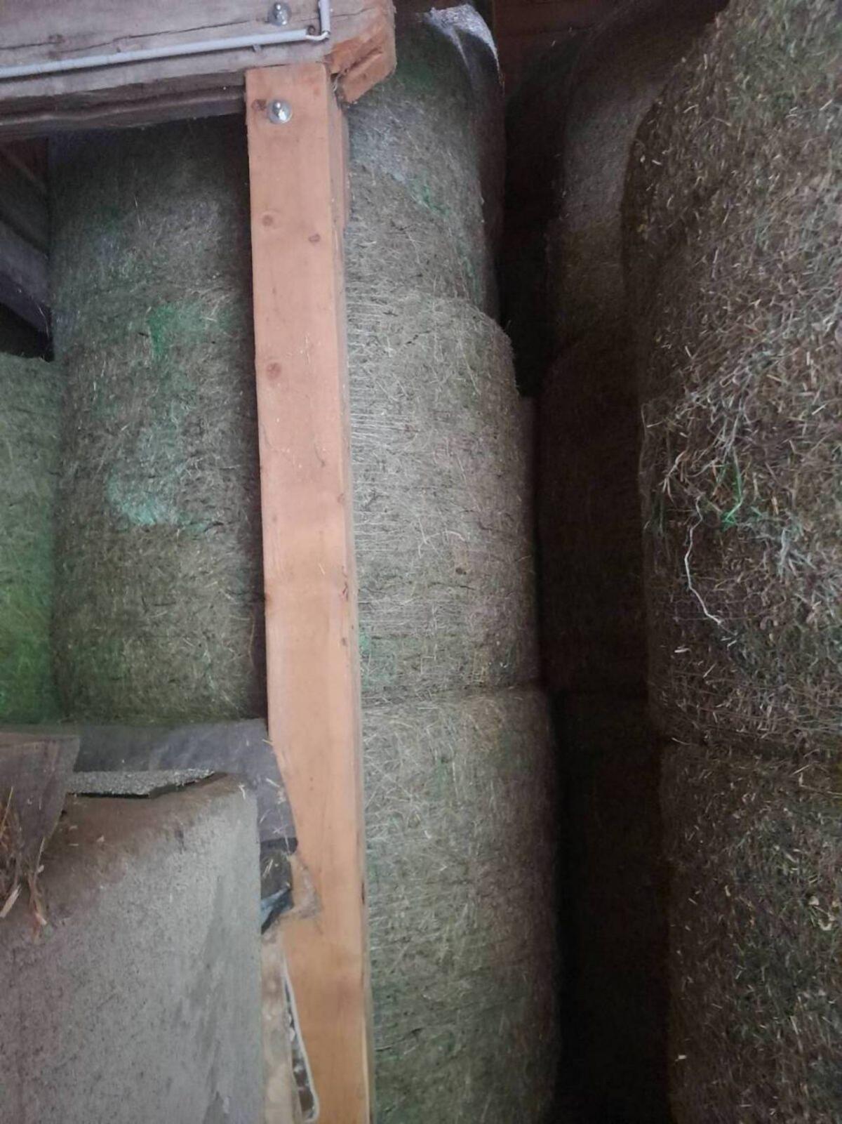 Heu und Grummet, Ballen 1