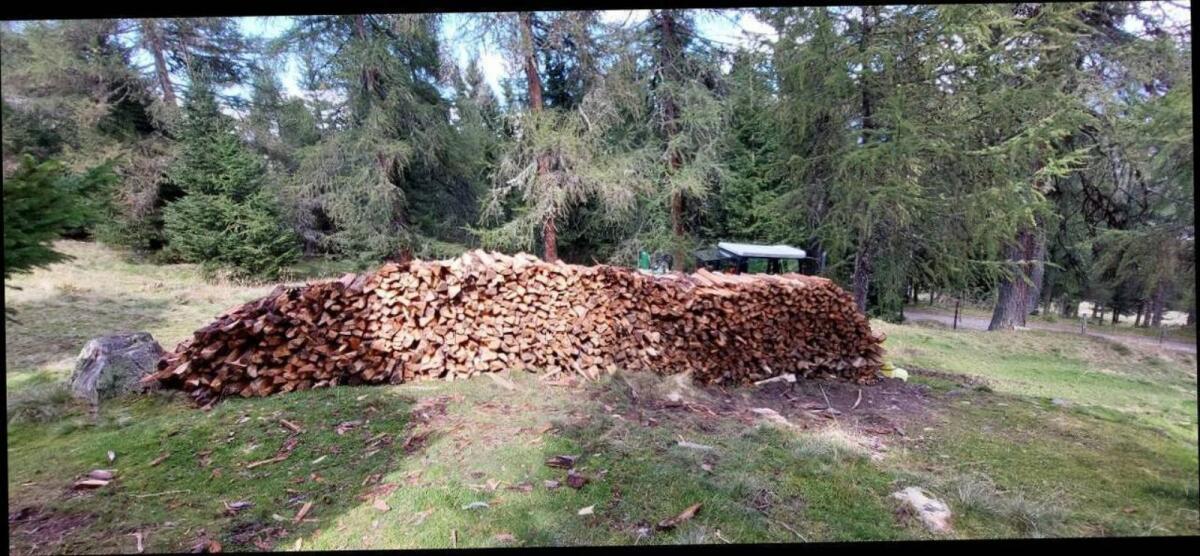 Brennholz 2
