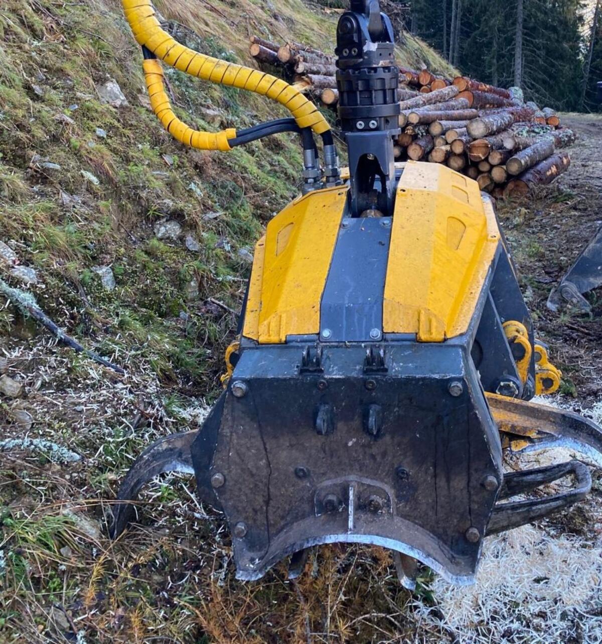 Prozessorkopf Koller P60 3