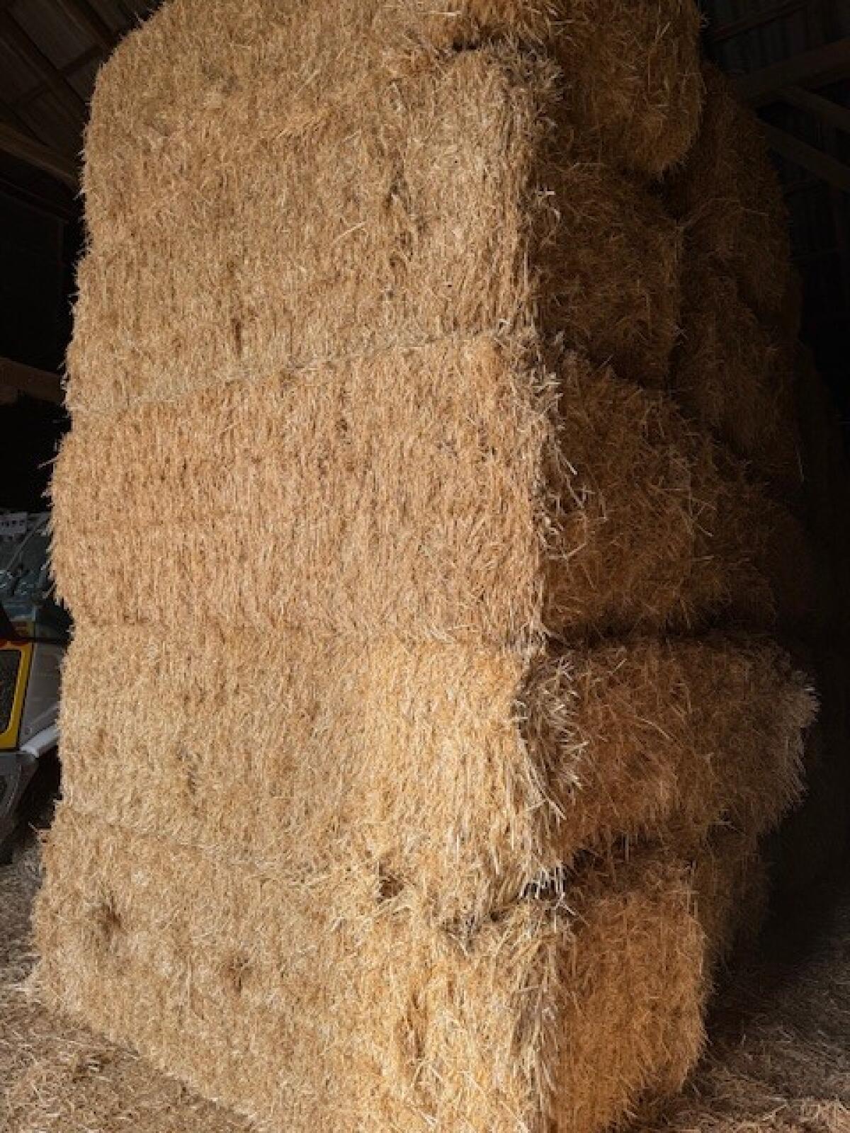 Stroh Quader, Ernte 2025 2