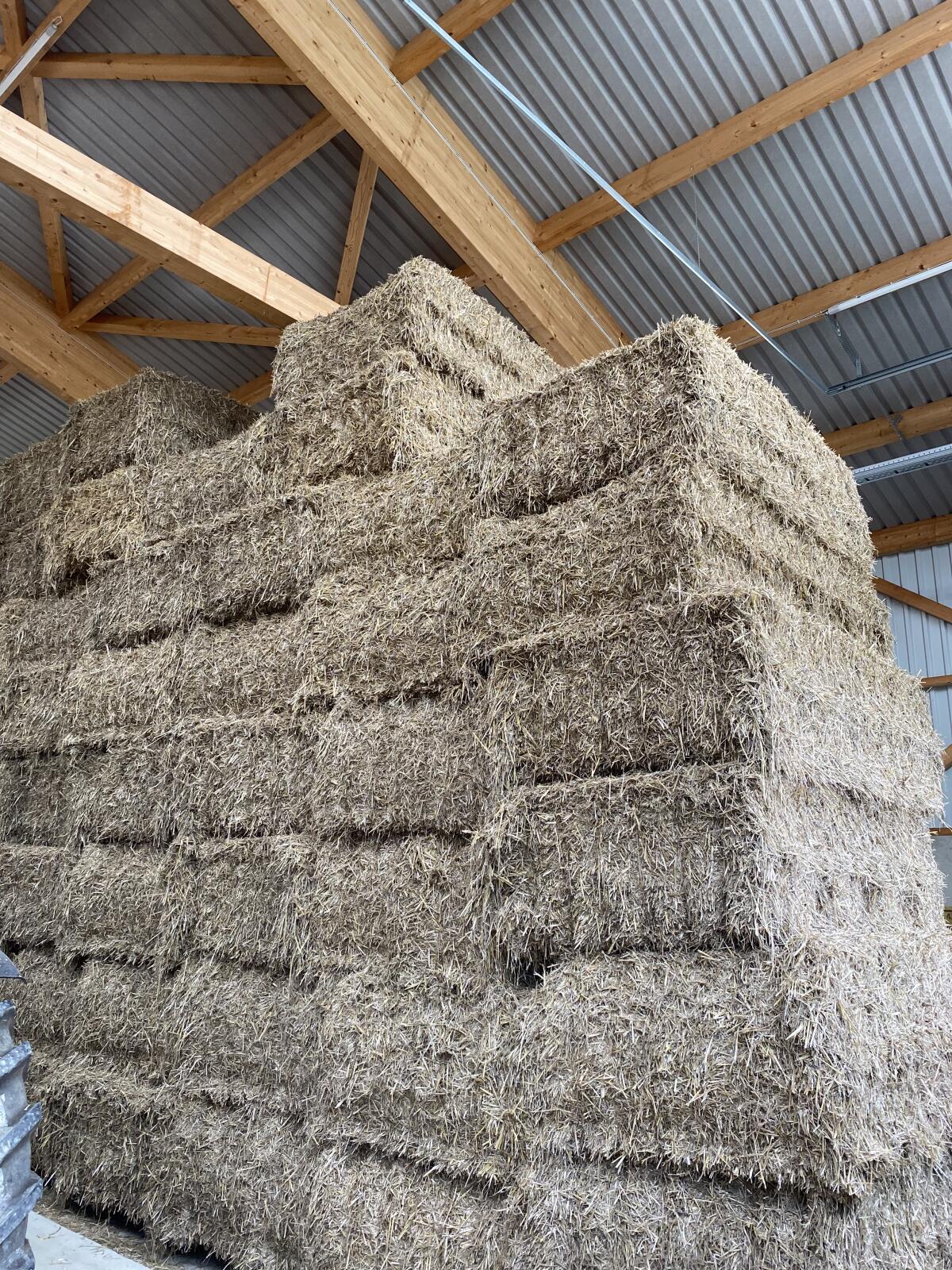 Weizenstroh zu verkaufen, 86899 Landsberg am Lech 1