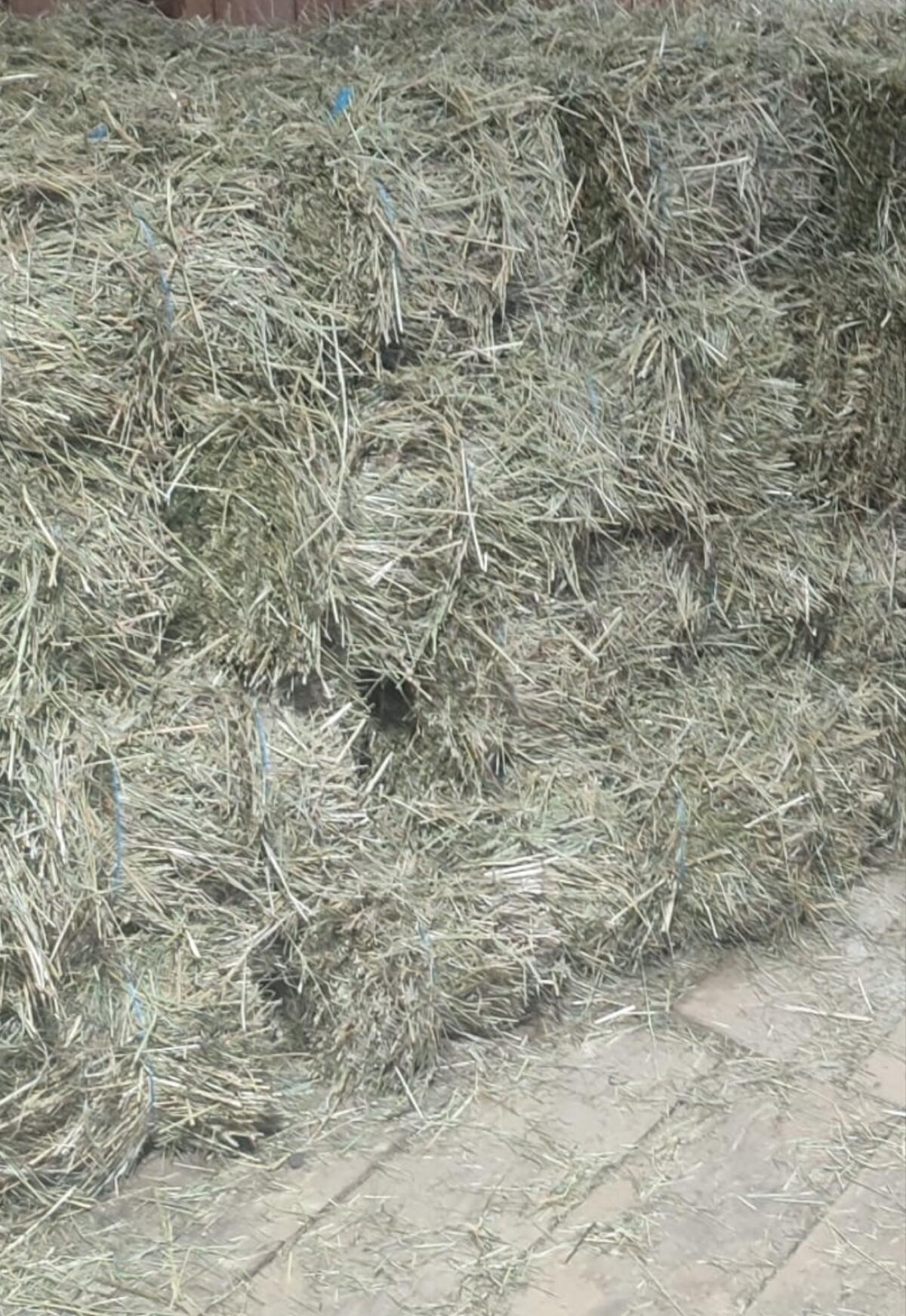 Suche Heu-Kleinballen (15 kg) 1. Schnitt 2025 1