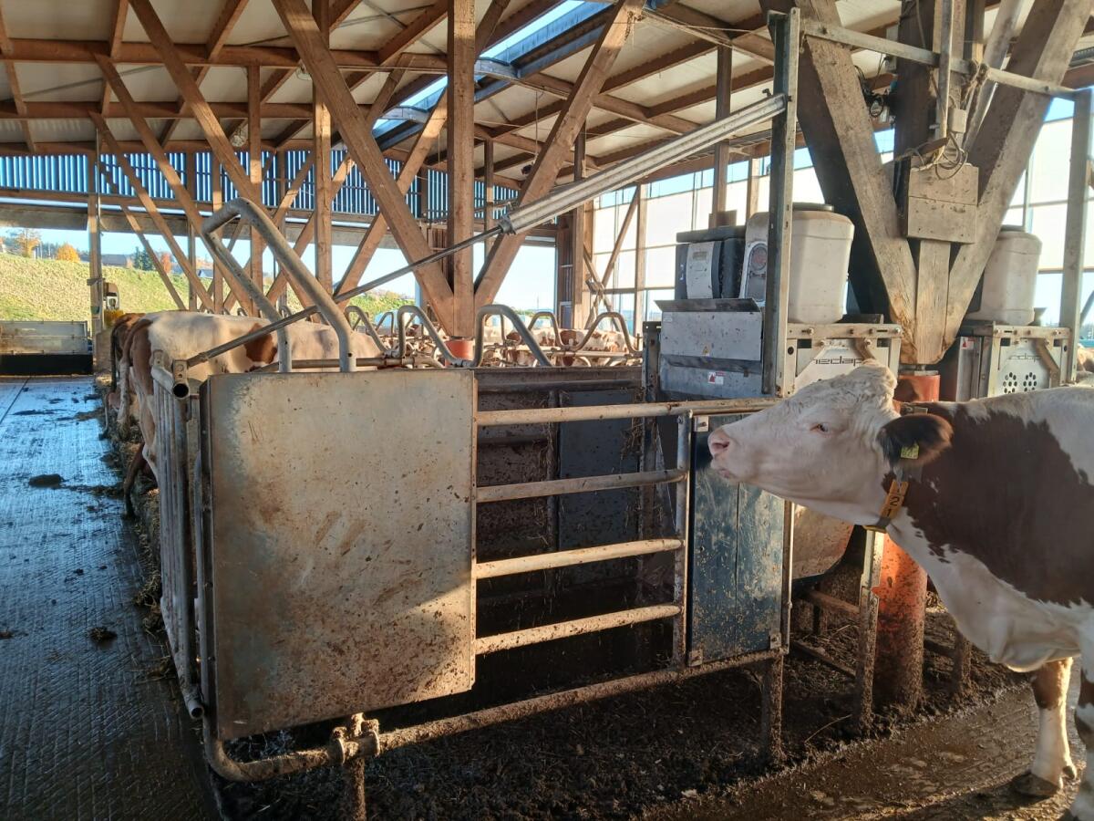 2 Kraftfutterstationen zu verkaufen 1