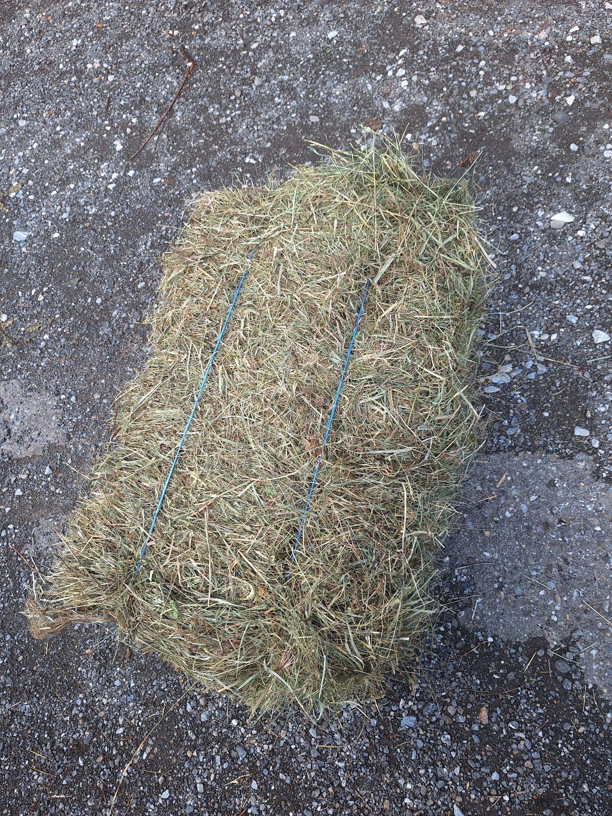 Heuquaderballen klein 2