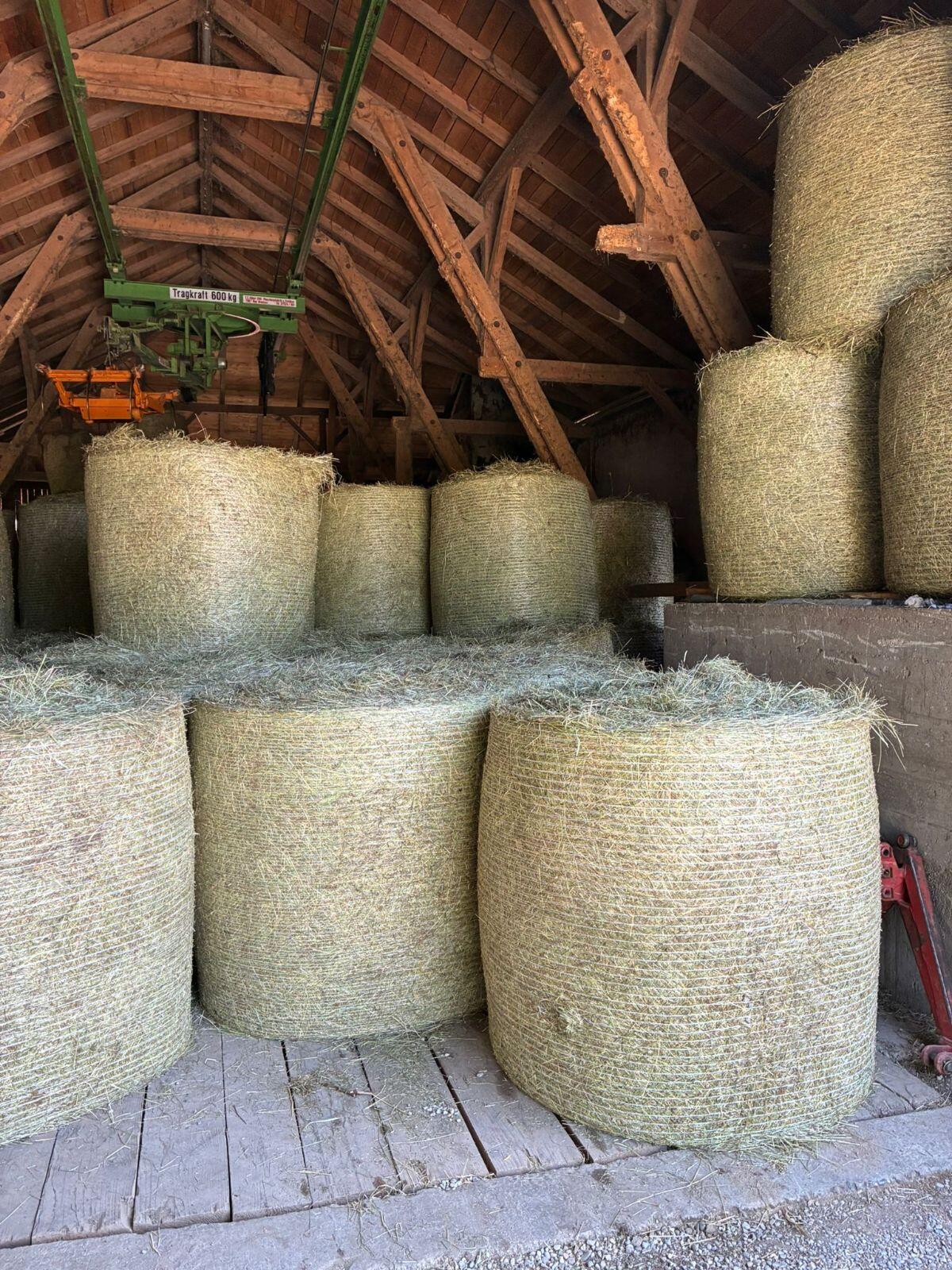 Bio Heuballen 2. Schnitt 3