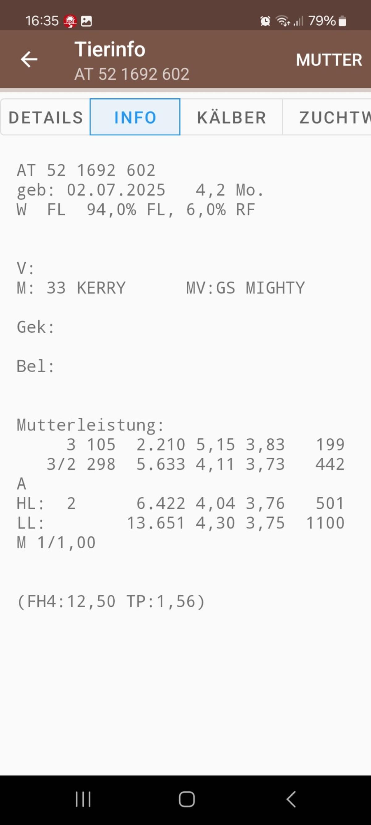 Fleckvieh Kälber weiblich, enthornt, entwöhnt 2