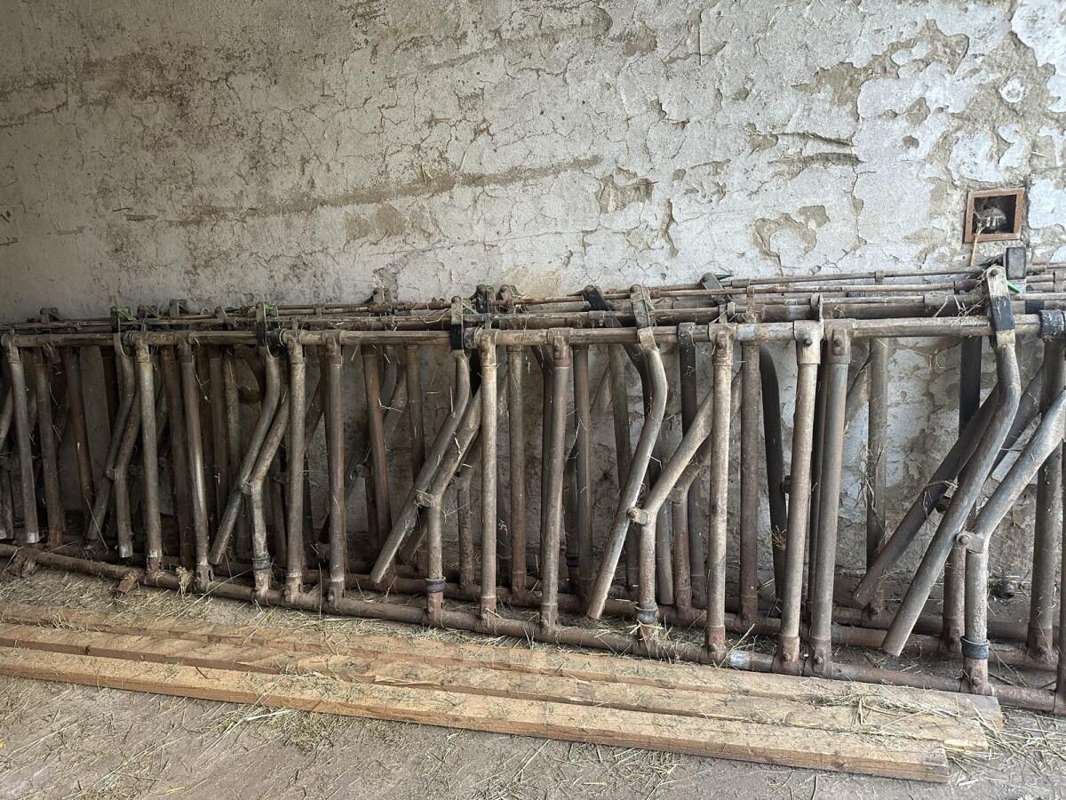 Fressgitter für Rinder 1