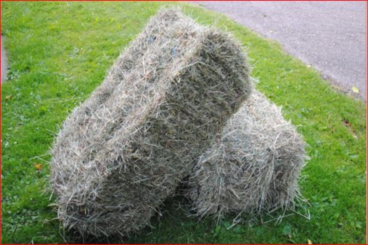 Heu in Kleinballen 2