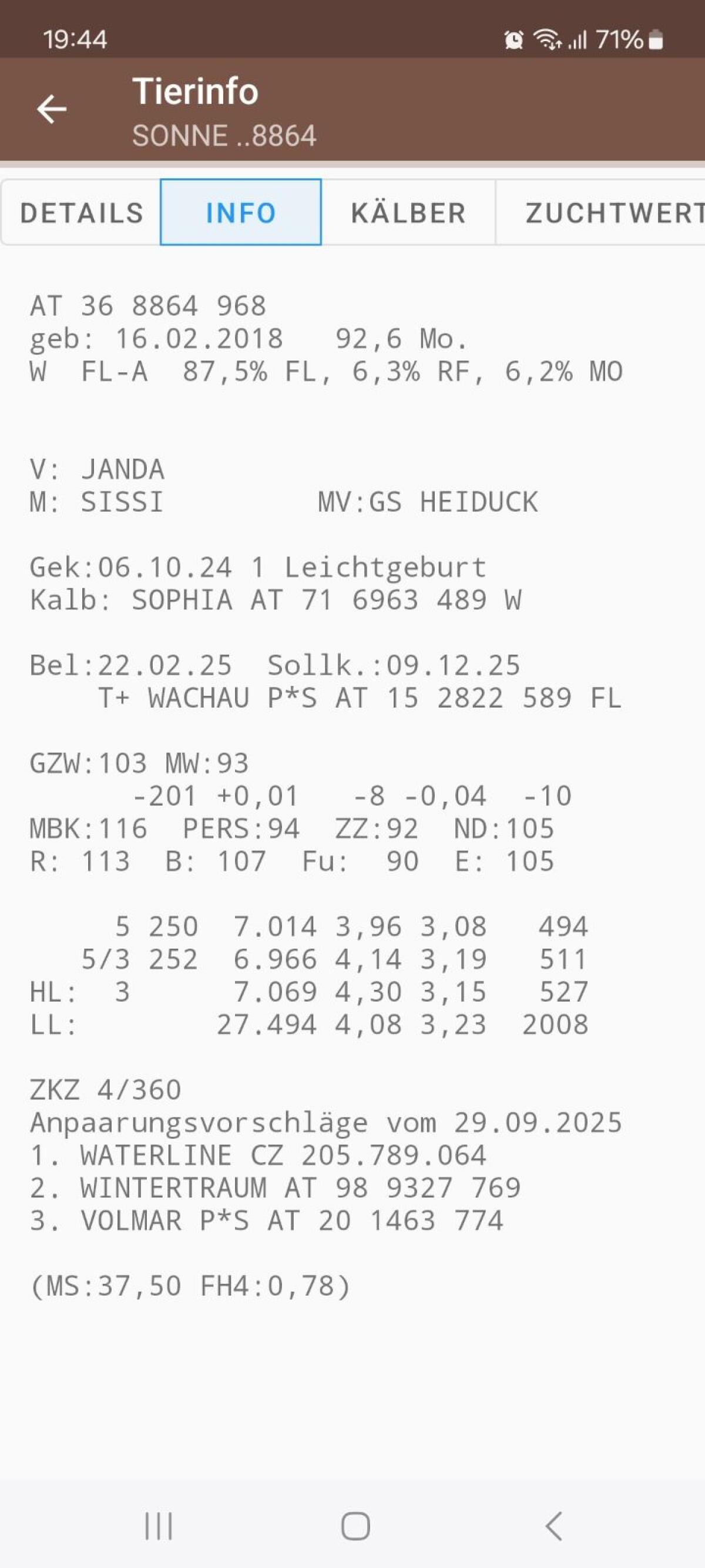 FL Milchkuh/Mutterkuh 2