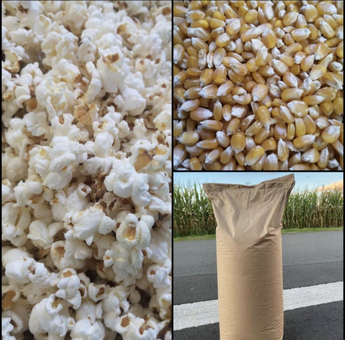 Steirischer Popcornmais 3