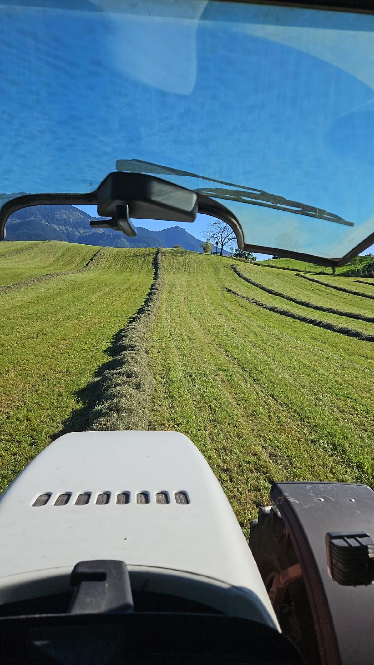 Bio Heuballen 2. Schnitt 1