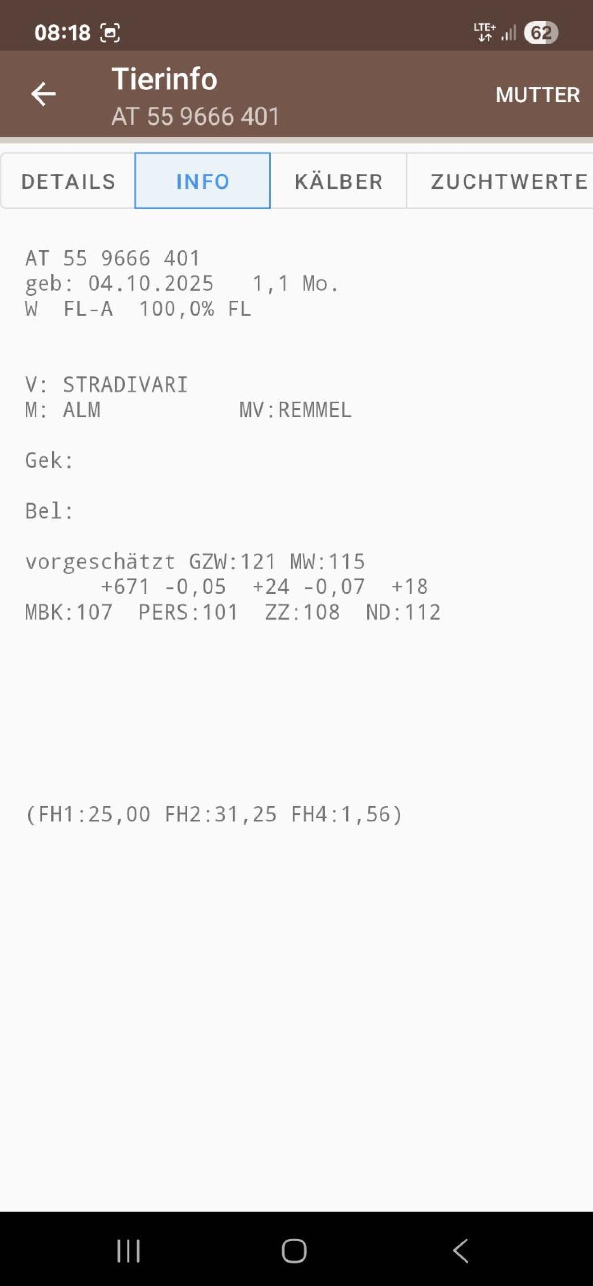 Bio Fleckvieh Zuchtkälber 2