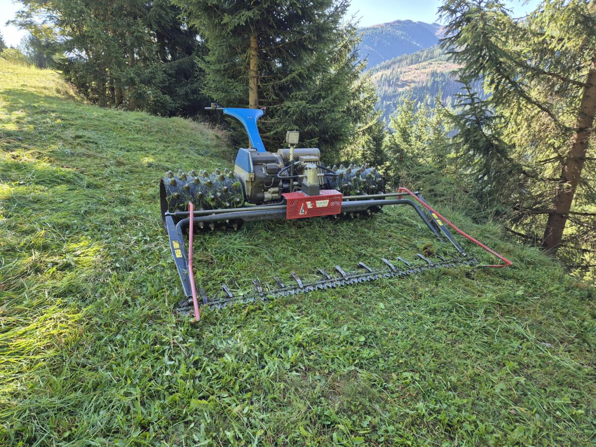 Brielmaier 18 PS Hydromäher 1