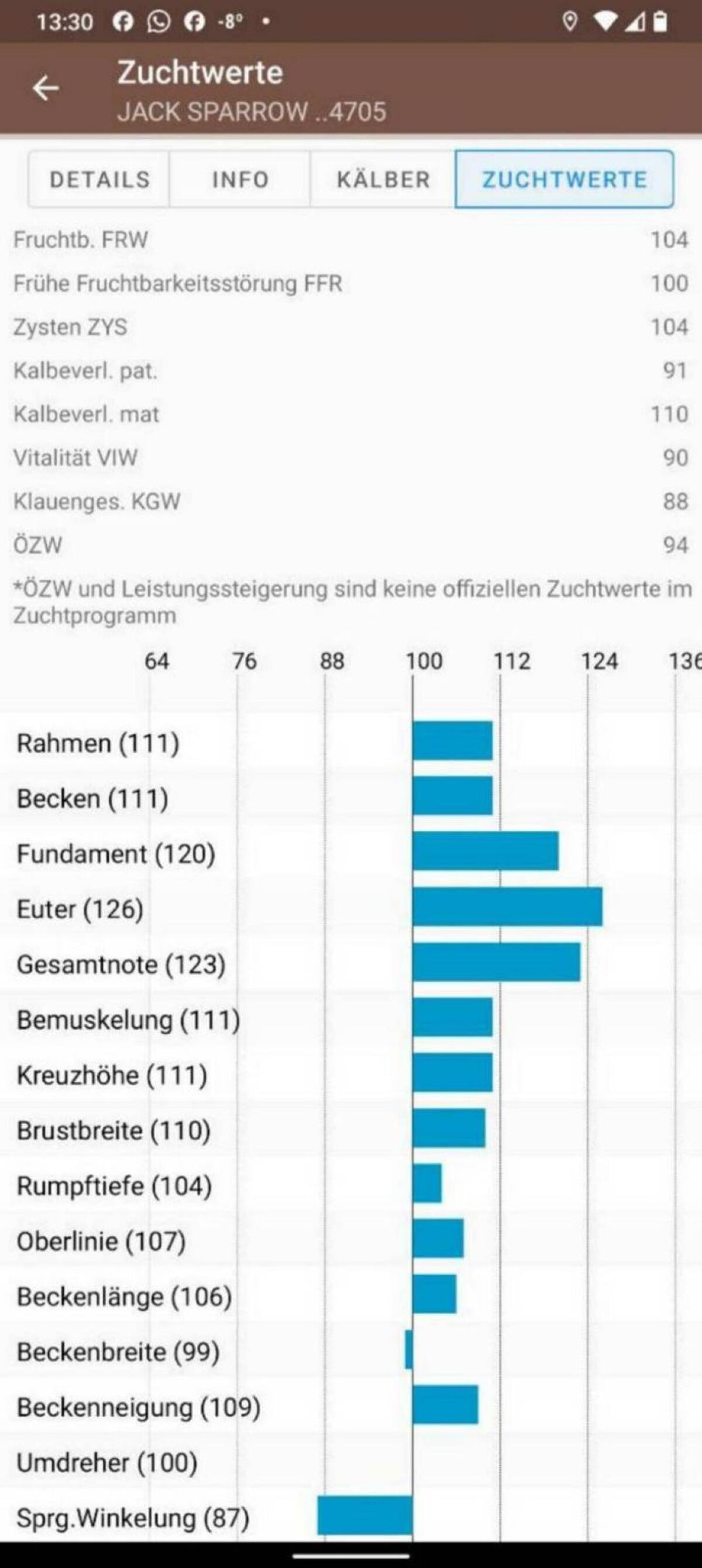 Brown Swiss Sprungstier 1