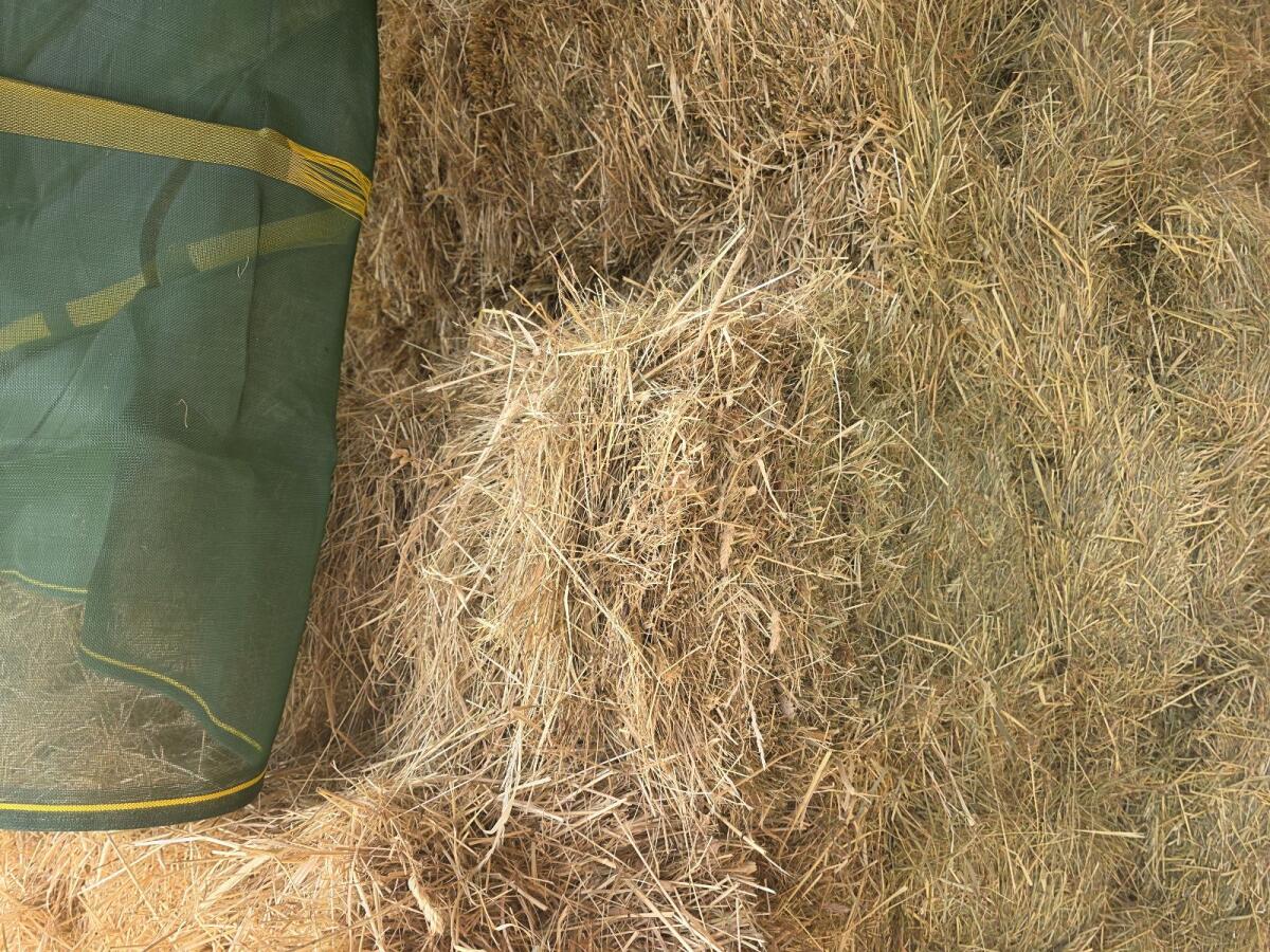 Heu Kleinballen, HD Heuballen, Heu 3