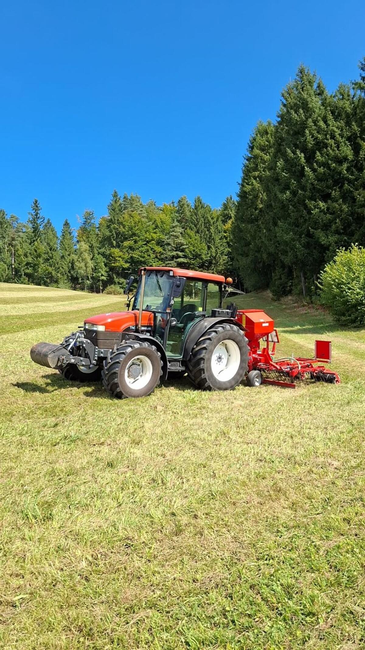 Biete Untersaat, Nachsaat 3