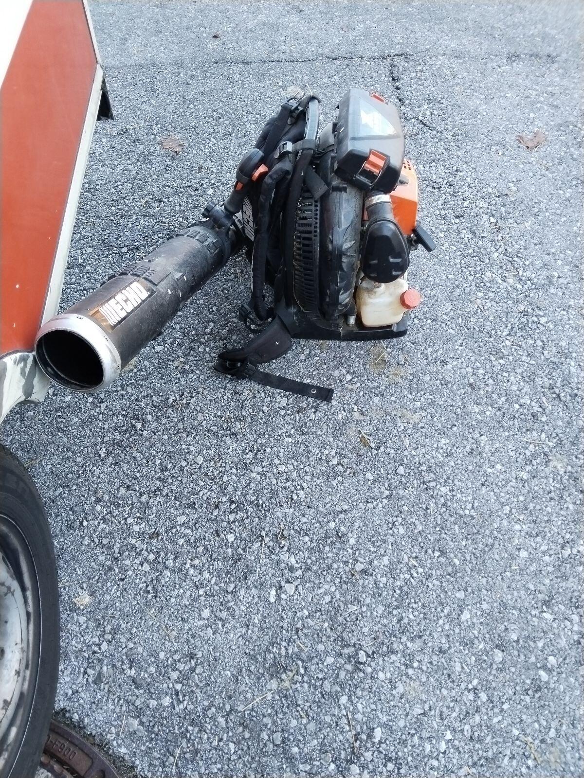 Echo PB 8010 das Biest 5,7 PS 1