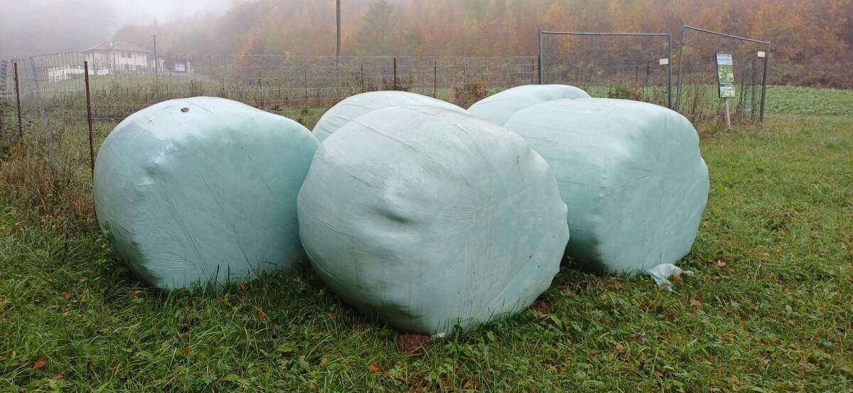 Silageballen 1