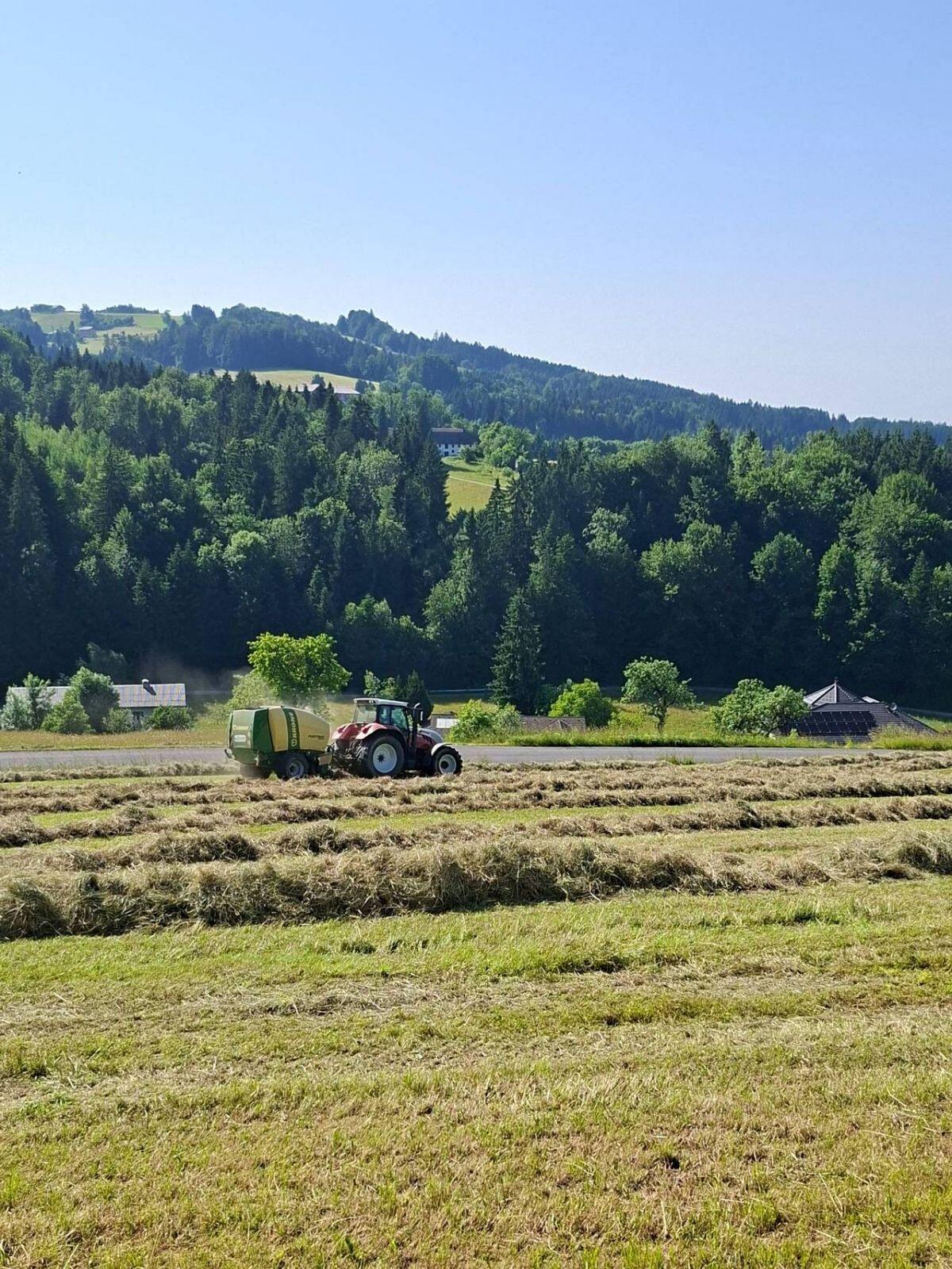 1. Schnitt Heuballen 2025 2